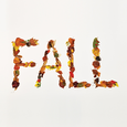 Fall