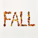 Fall