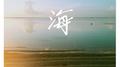 海专辑