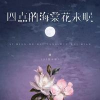 渡 - 四点的海棠花未眠 (DJ西米版)