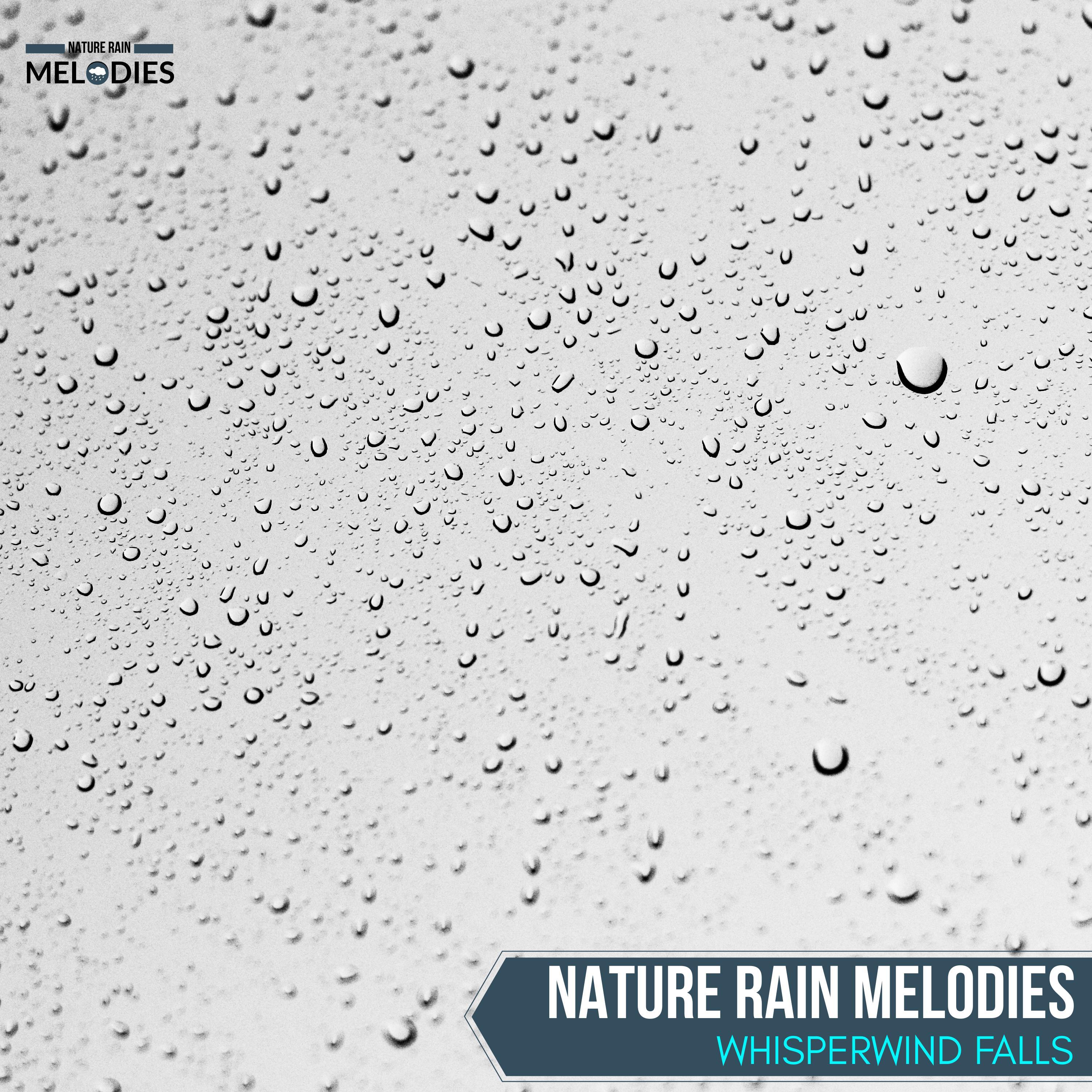 Joyful Rain Melodies - Savage Distant Thunder