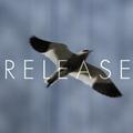 Release