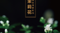 国乐民歌时尚-茉莉花 (21首)专辑
