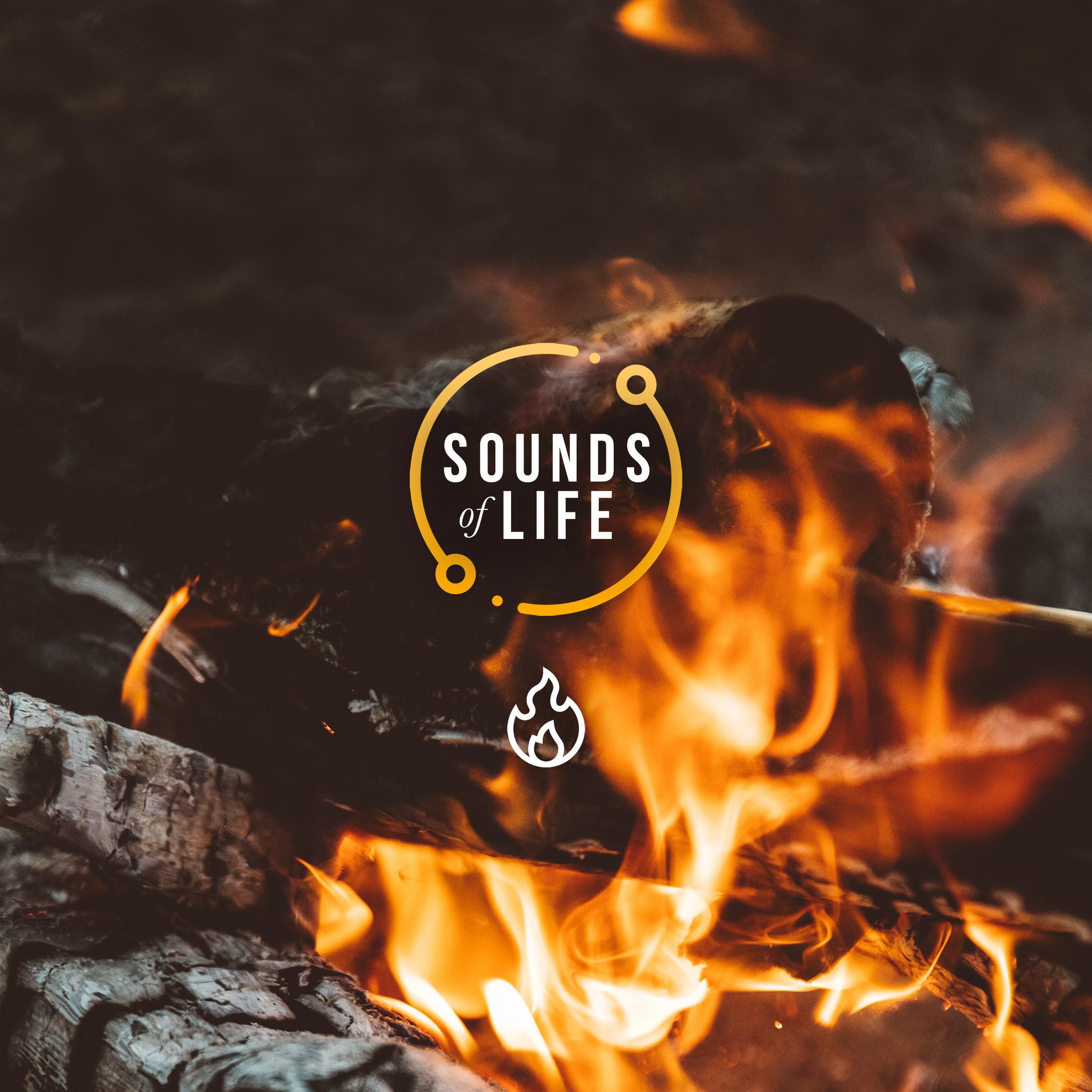 Fire Raging