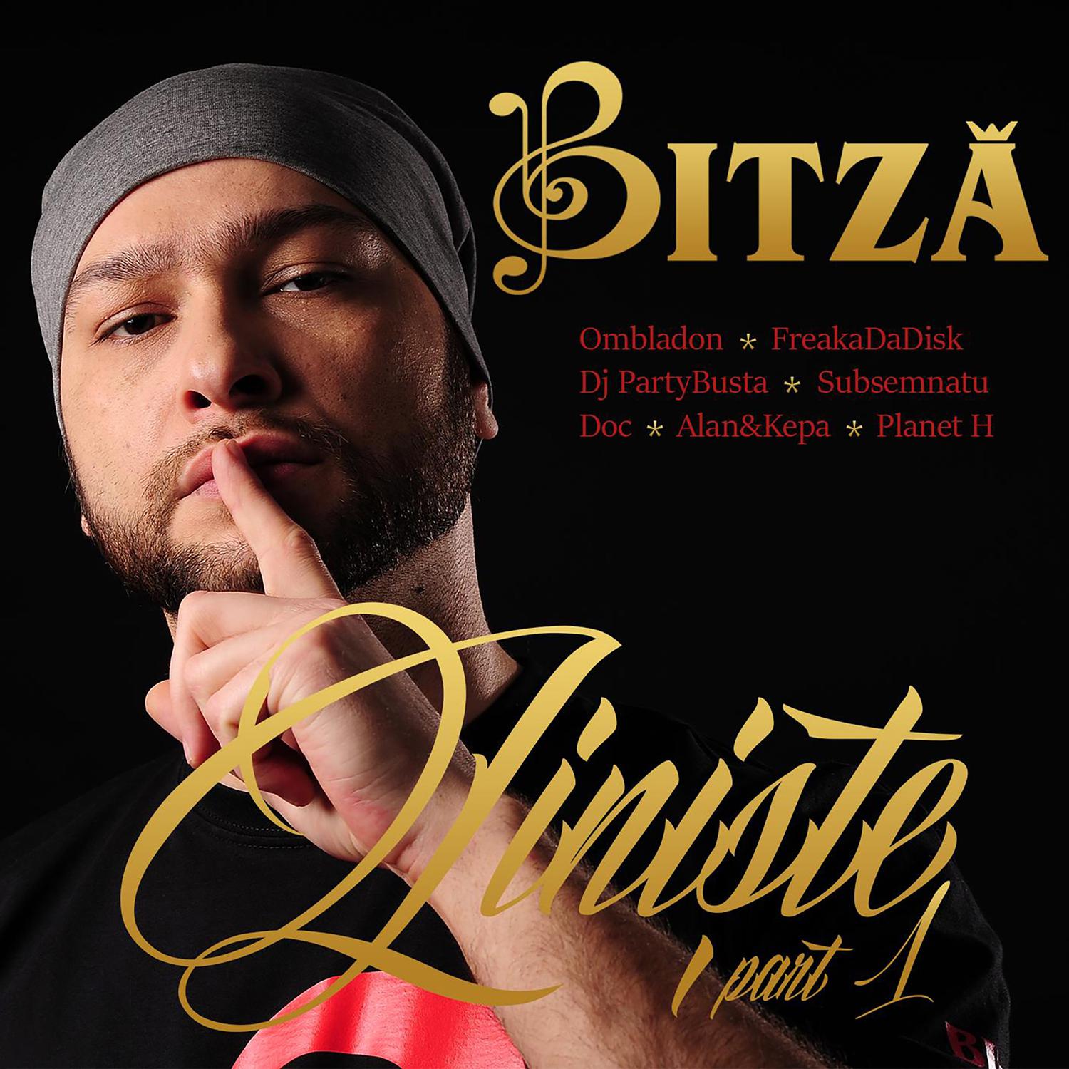 Bitza - Jurnal de cord