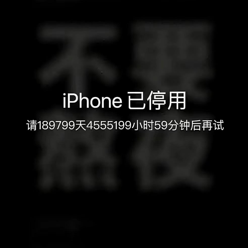 车模真帅