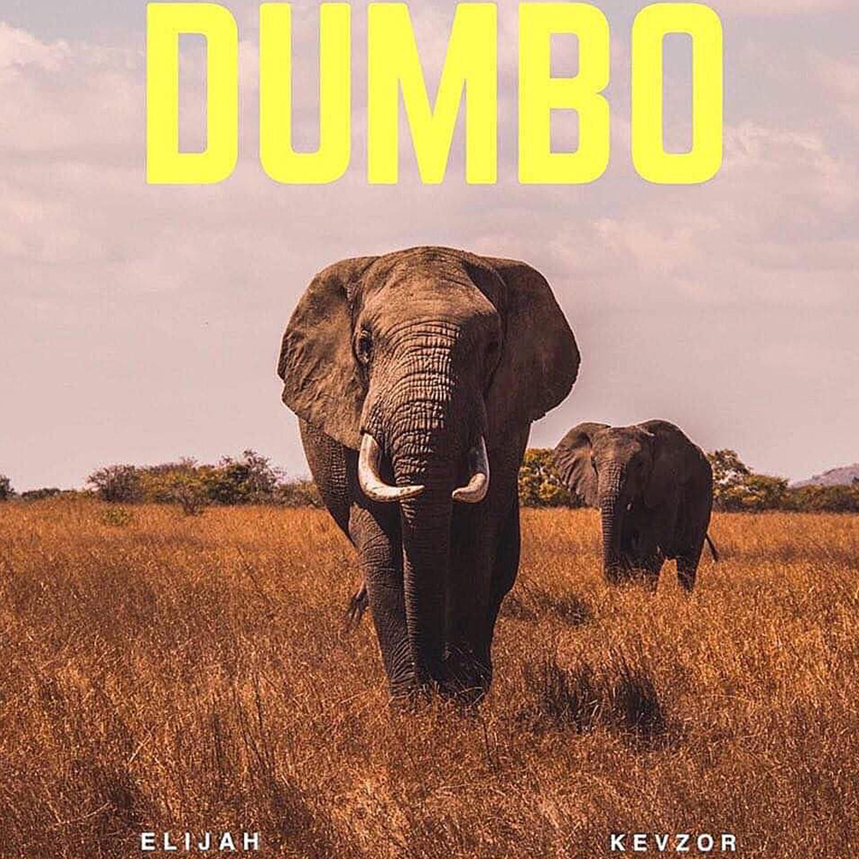 Dumbo (feat. KEVZOR)