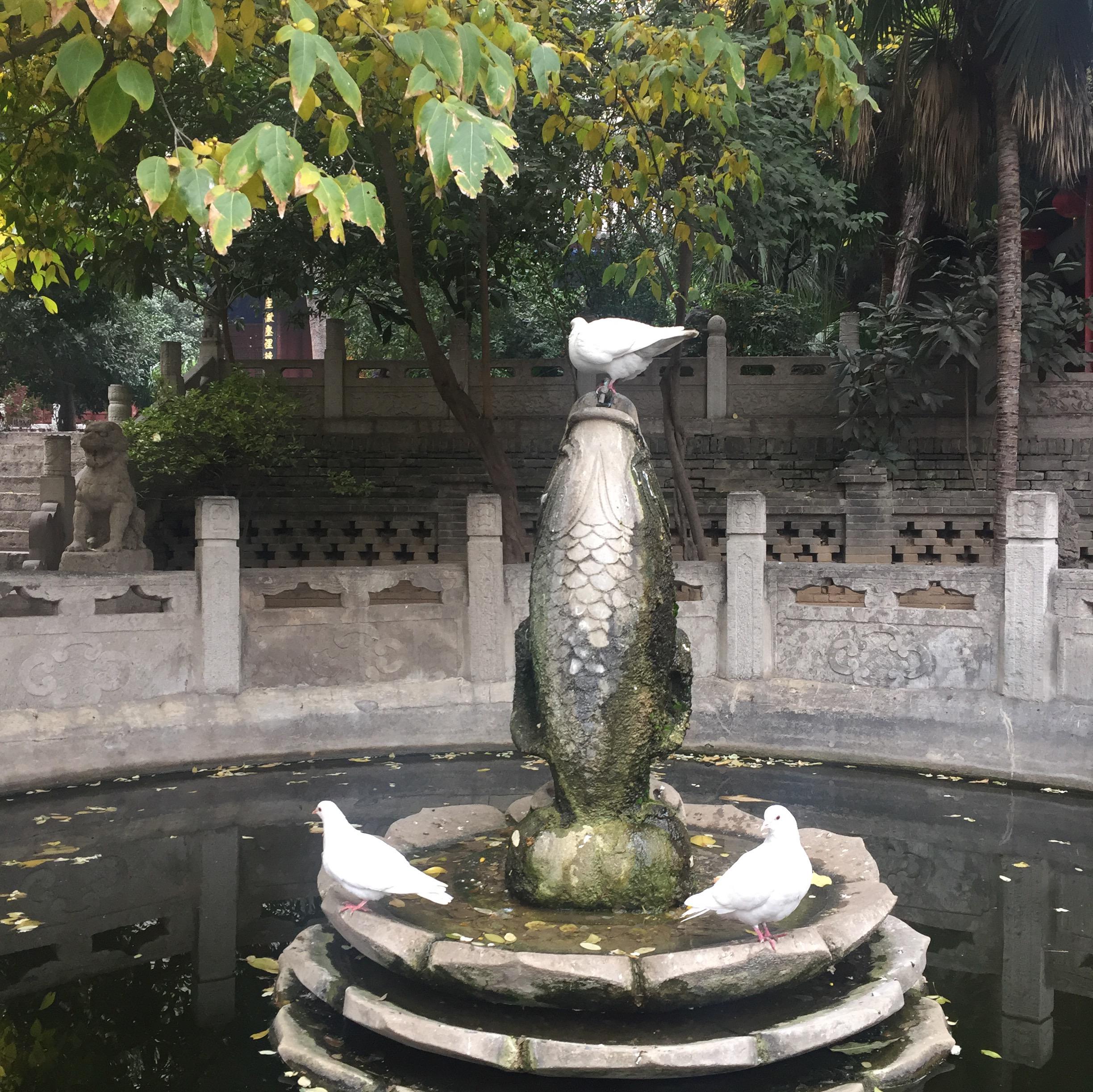 云游专辑