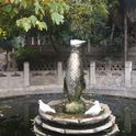 云游专辑