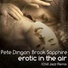 Pete Dingon - Erotic in the air (Ichill Jazz Mix)