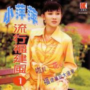 小萍萍·流行福建风1