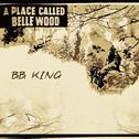 A Place Called Belle Wood专辑