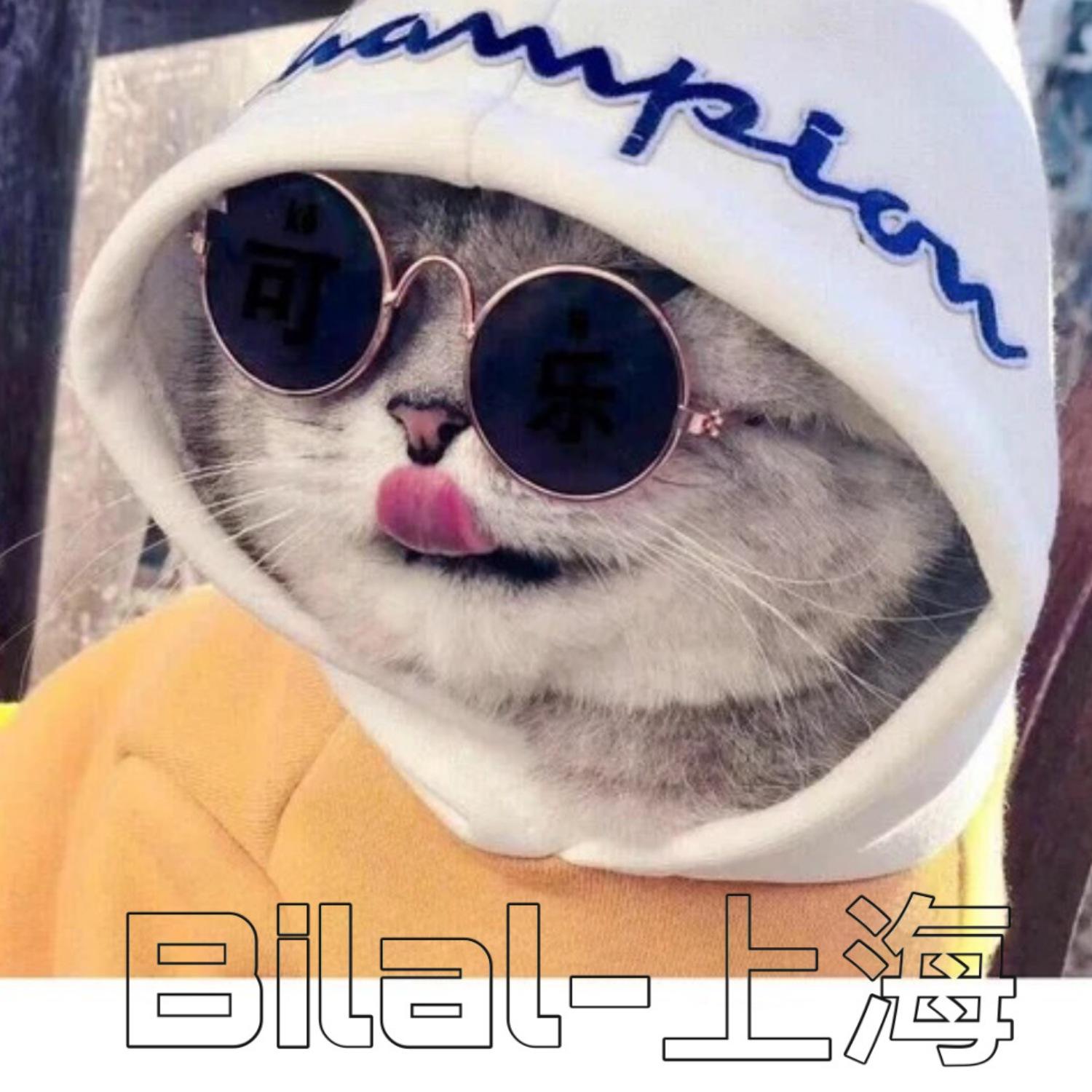 太多的借口DJ