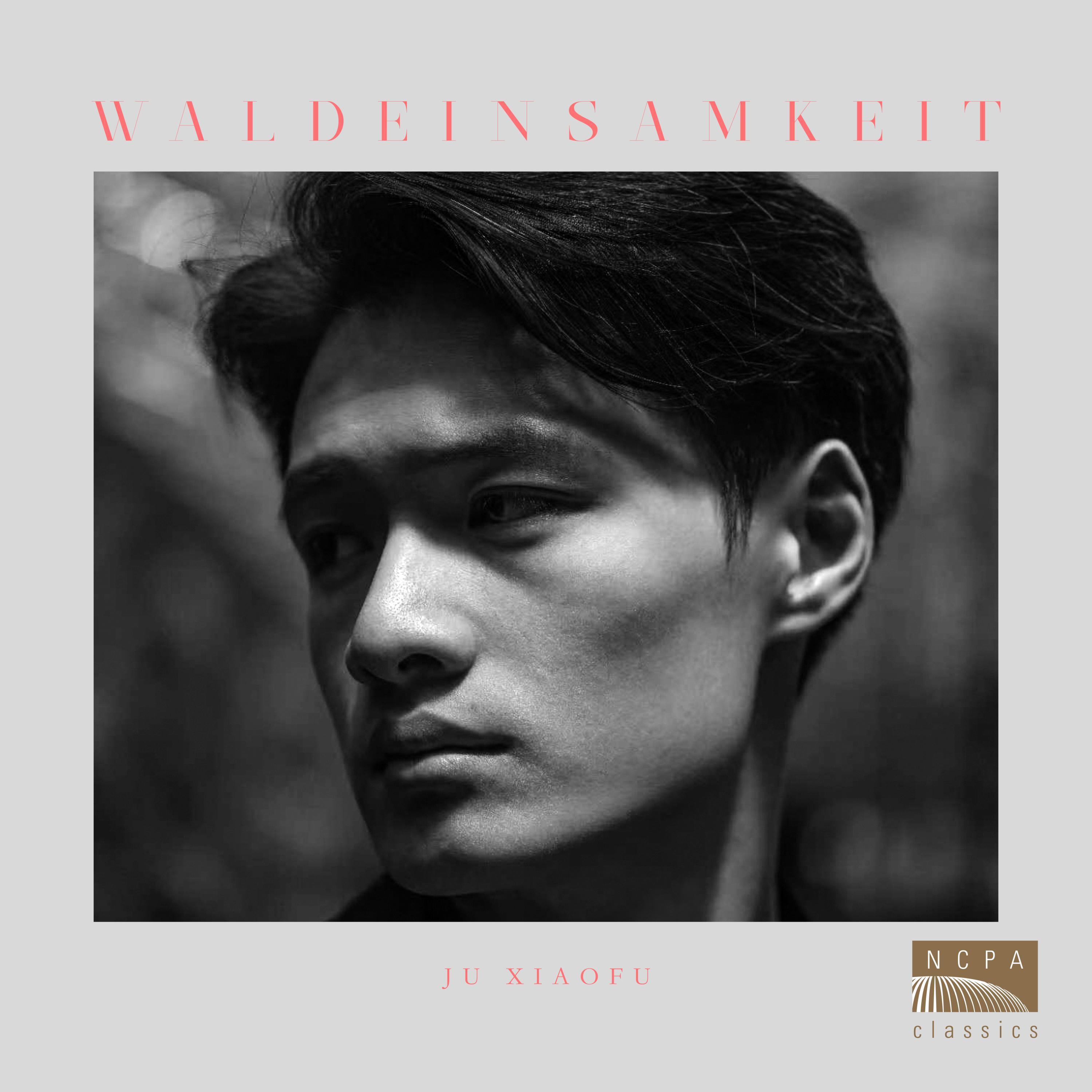 鞠小夫：林中孤寂（Xiaofu Ju : Waldeinsamkeit）