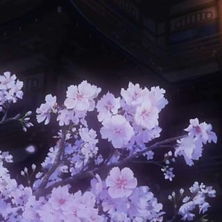 日语|相约樱花盛开之时