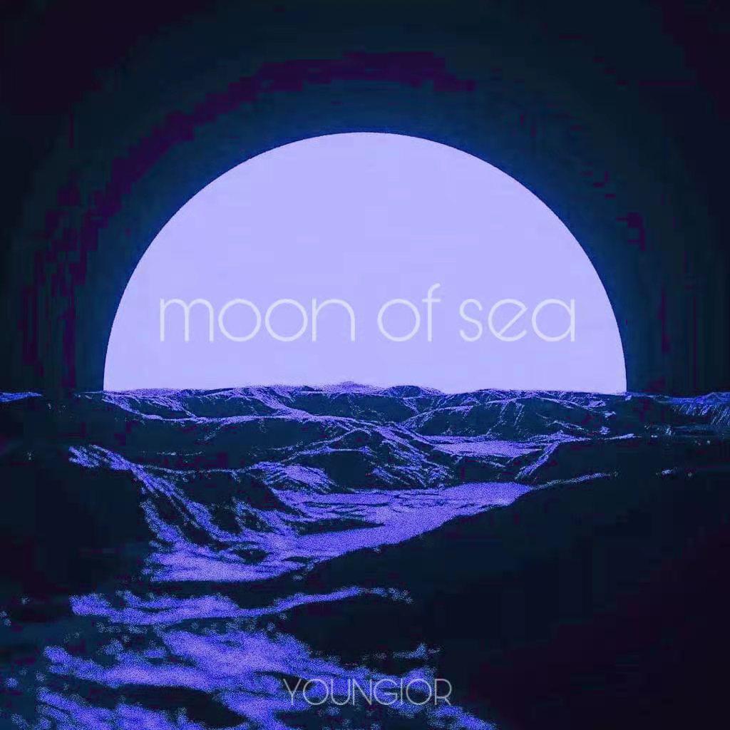 海月光
