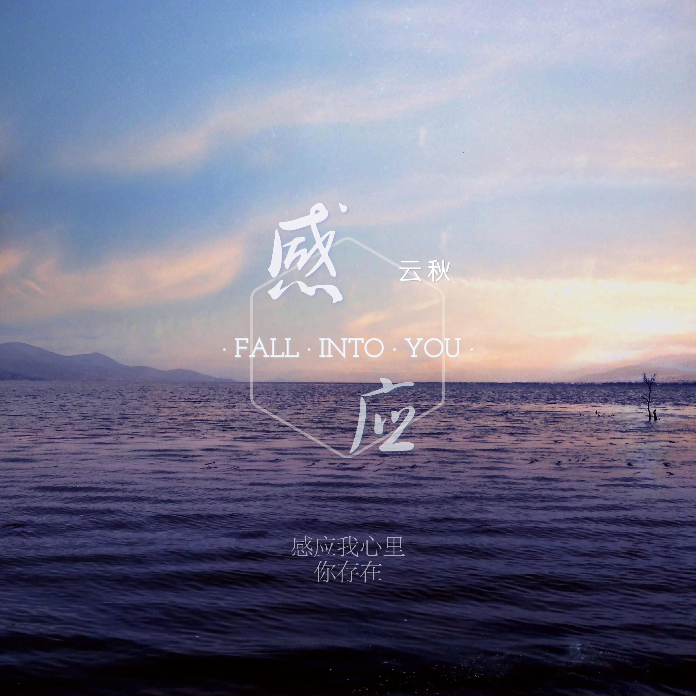 感应专辑