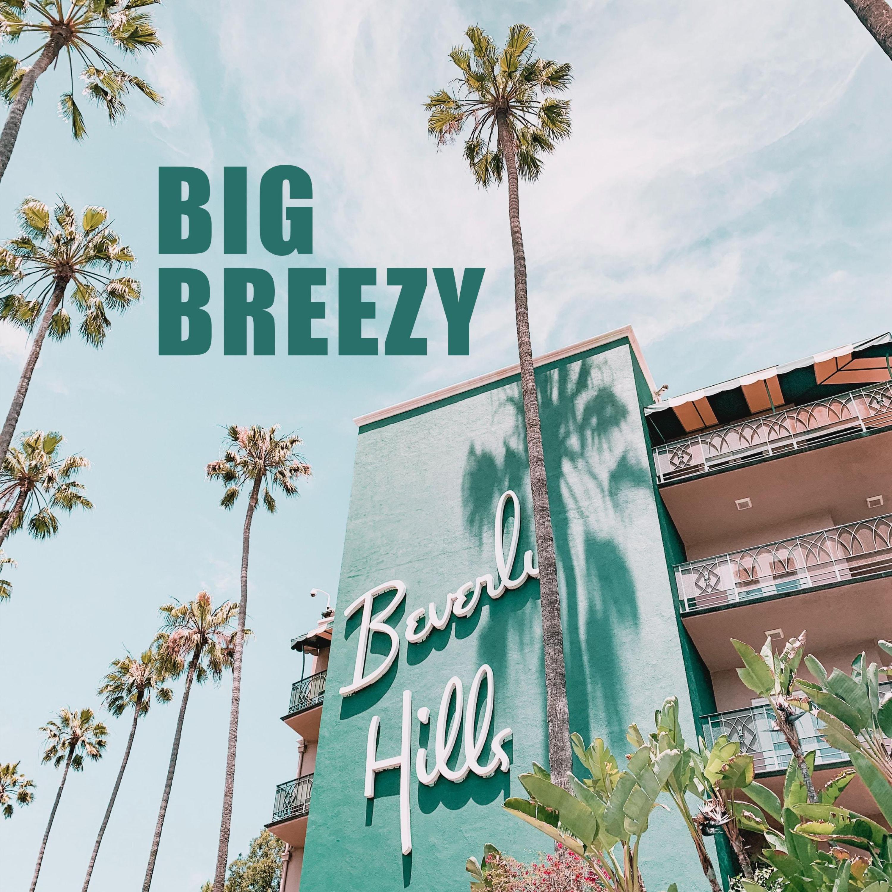 Big Breezy - Beverly Hills (feat. JpBeatz)