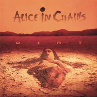 Junkhead - Alice in Chains (Karaoke Version) 带和声伴奏