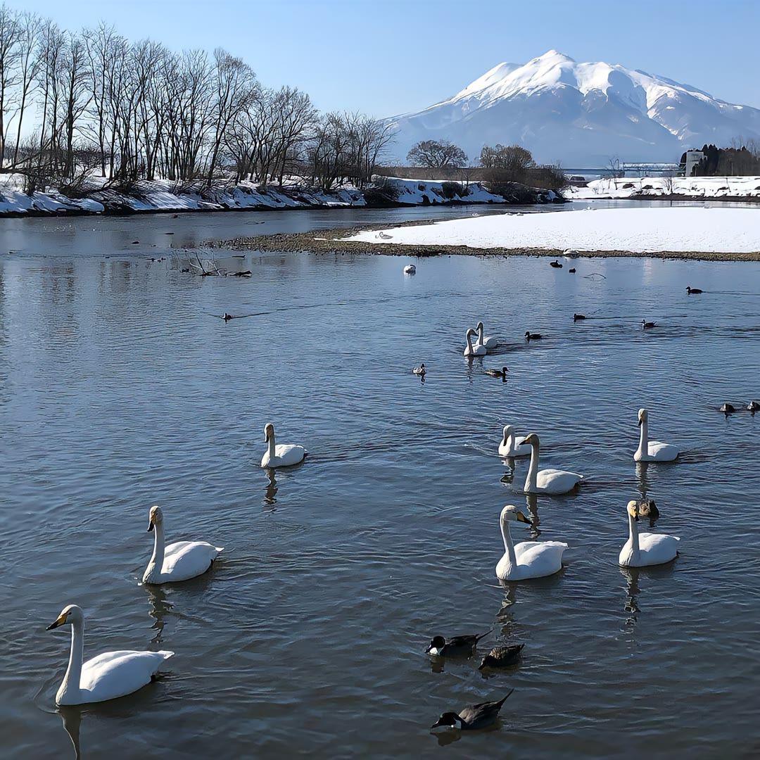 2PM - Tiktok（FKhouse Mix）