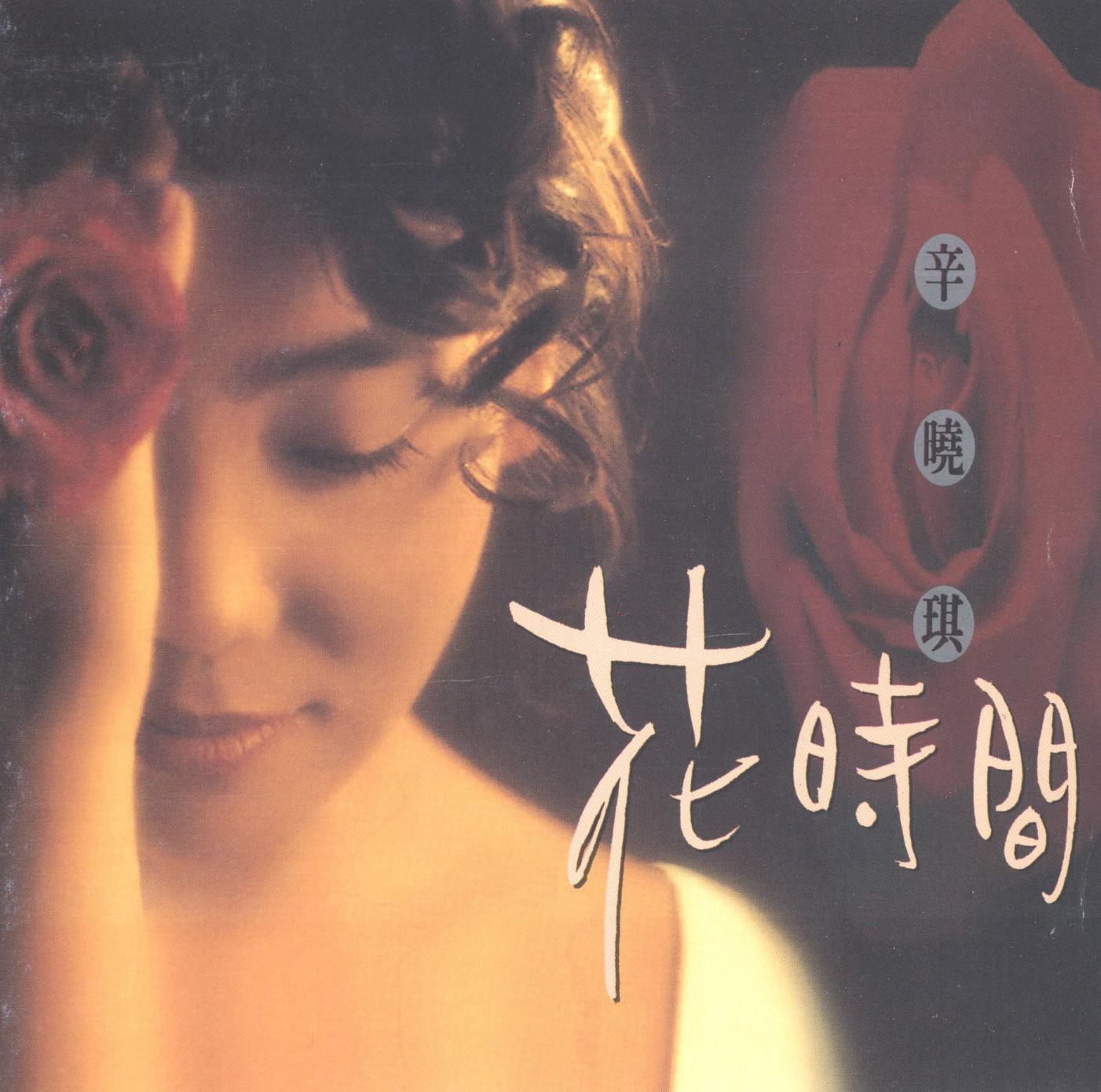 辛晓琪歌曲封面