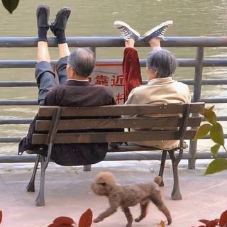 两情若是久长时，又岂在朝朝暮暮。