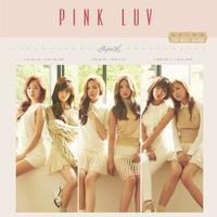 Secret 和声版 - Apink