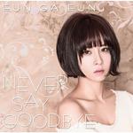 Never Say Goodbye专辑