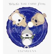 where you come from