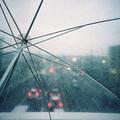 等雨都停了