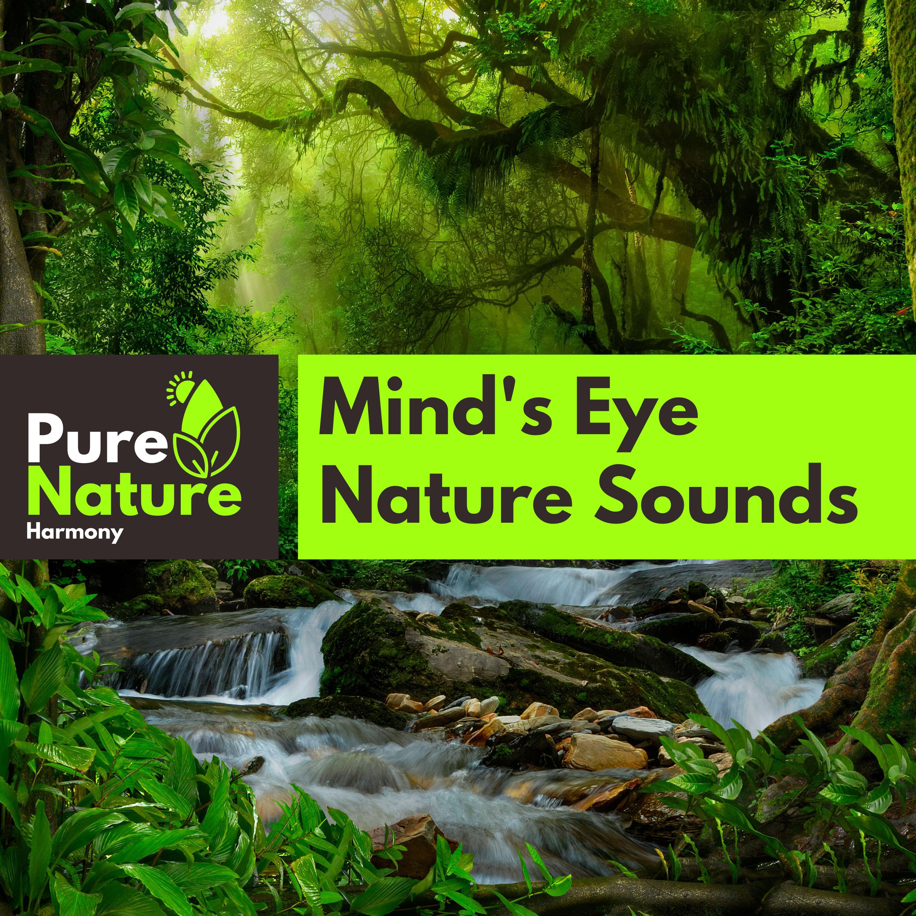 Nature Tranquility Music Library - Vertical Waves on Boulder