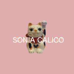 你我可以 (Sonia Calico Remix)