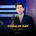 Guzalim San