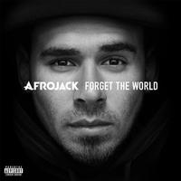 Afrojack&Dimitri Vegas-The Way We See The World  立体声伴奏