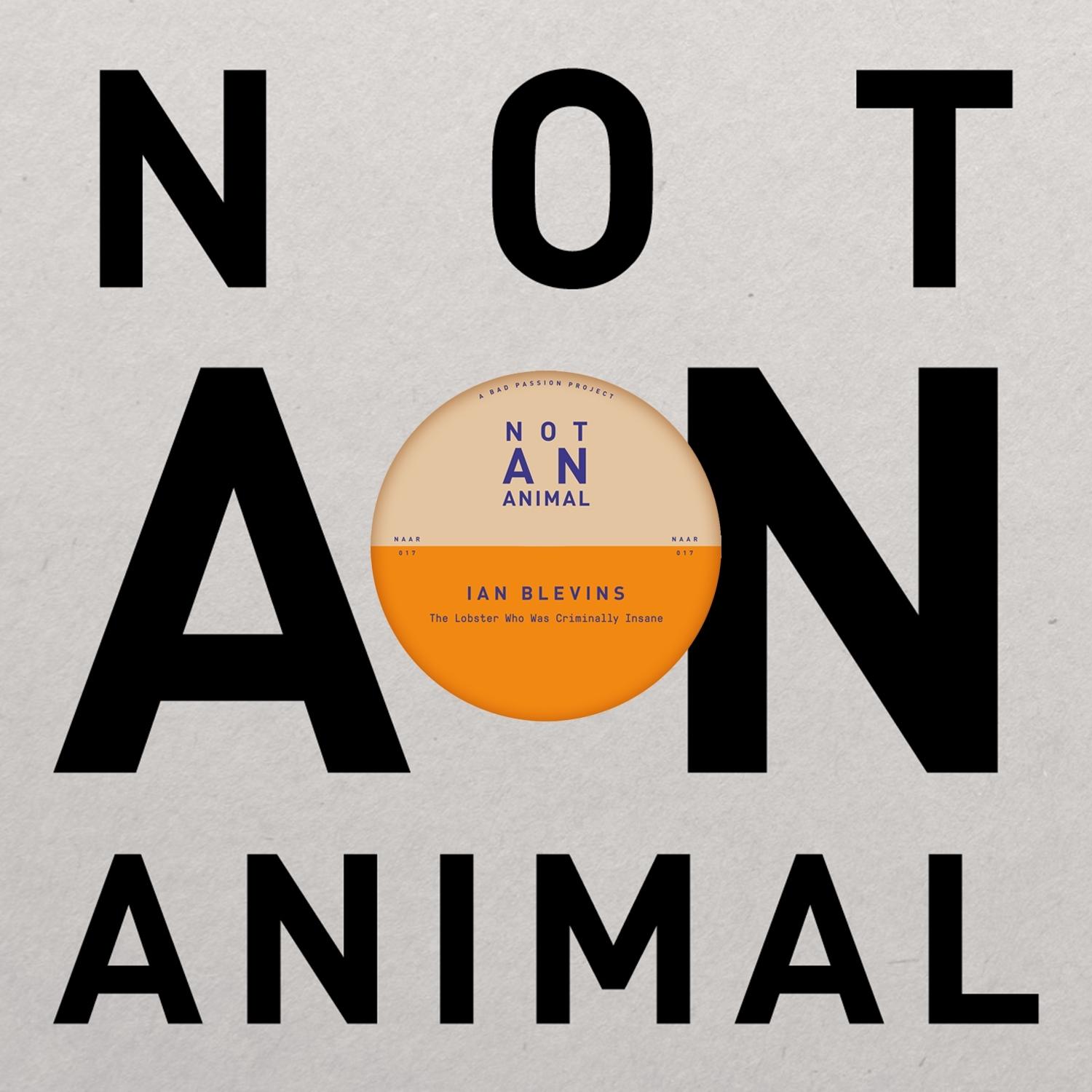 the lobster who was criminally insane (discodromo remix)