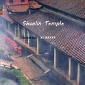 Shaolin Temple专辑