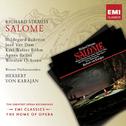Strauss: Salome专辑