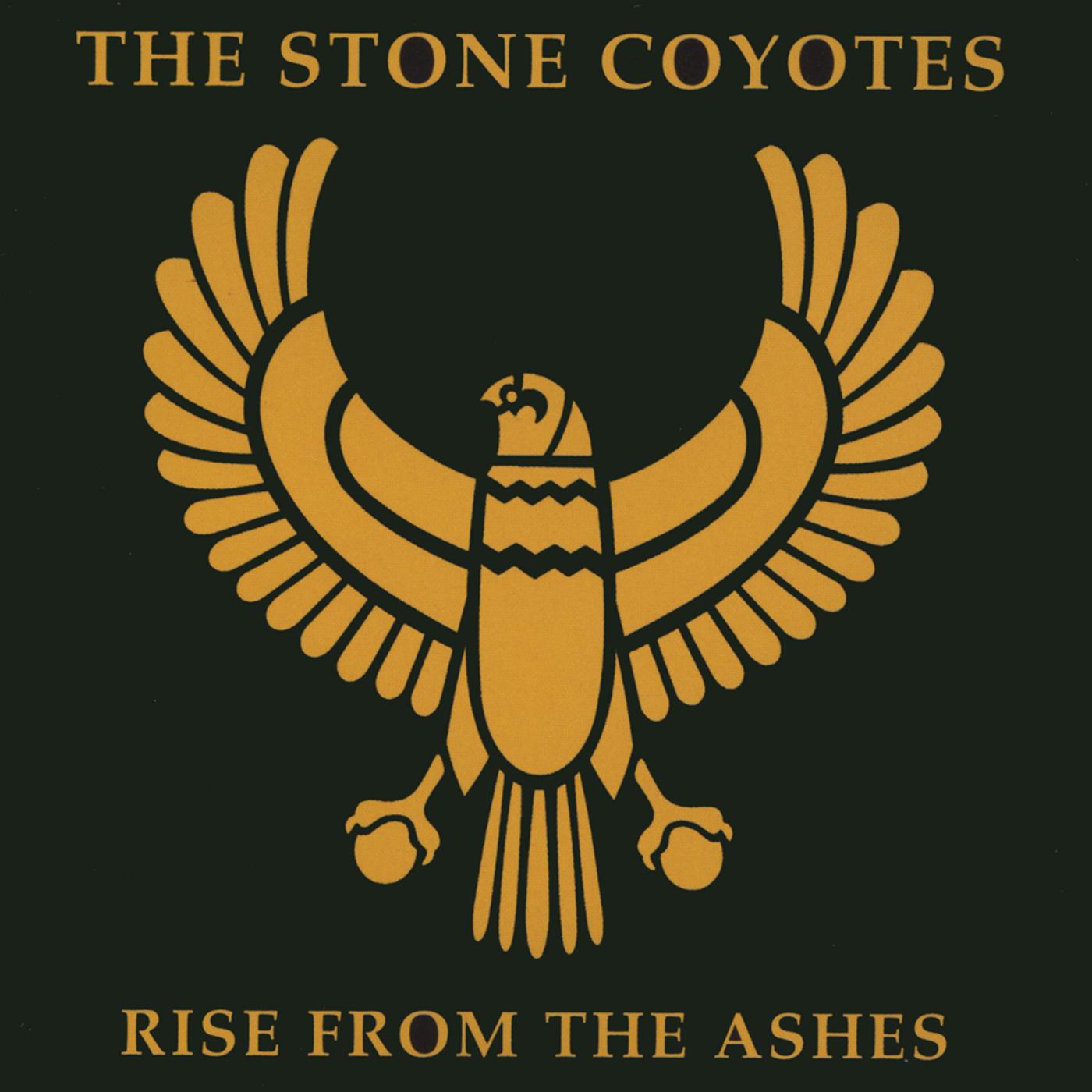 Rise From The Ashes
