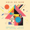 ORNAMENT AND CRIME - Hold Me Now