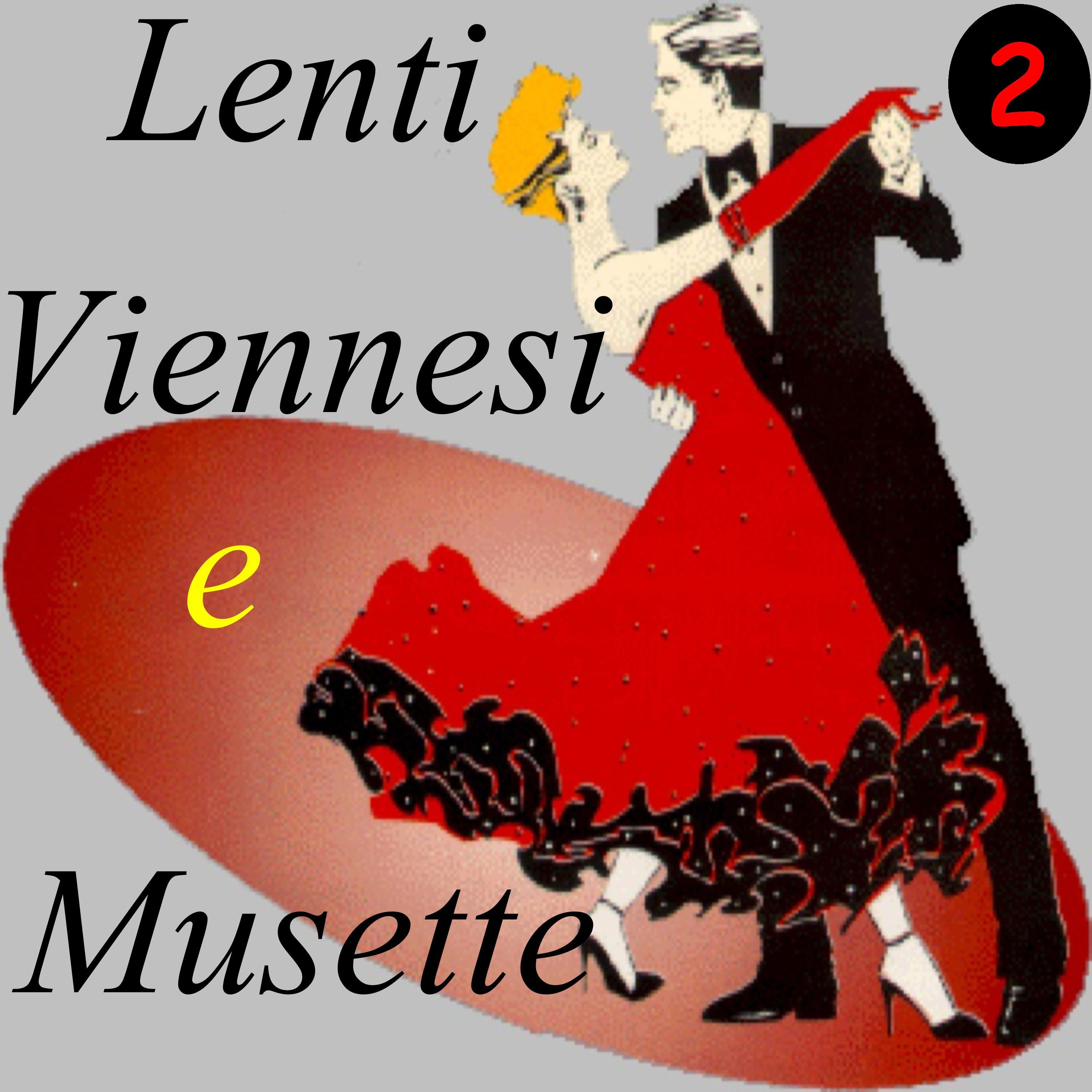 Lenti Viennesi e Musette, Vol. 2
