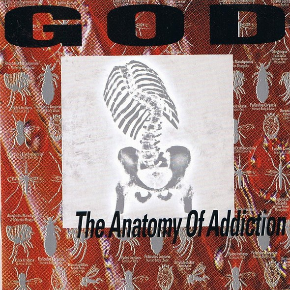 Anatomy of Addiction