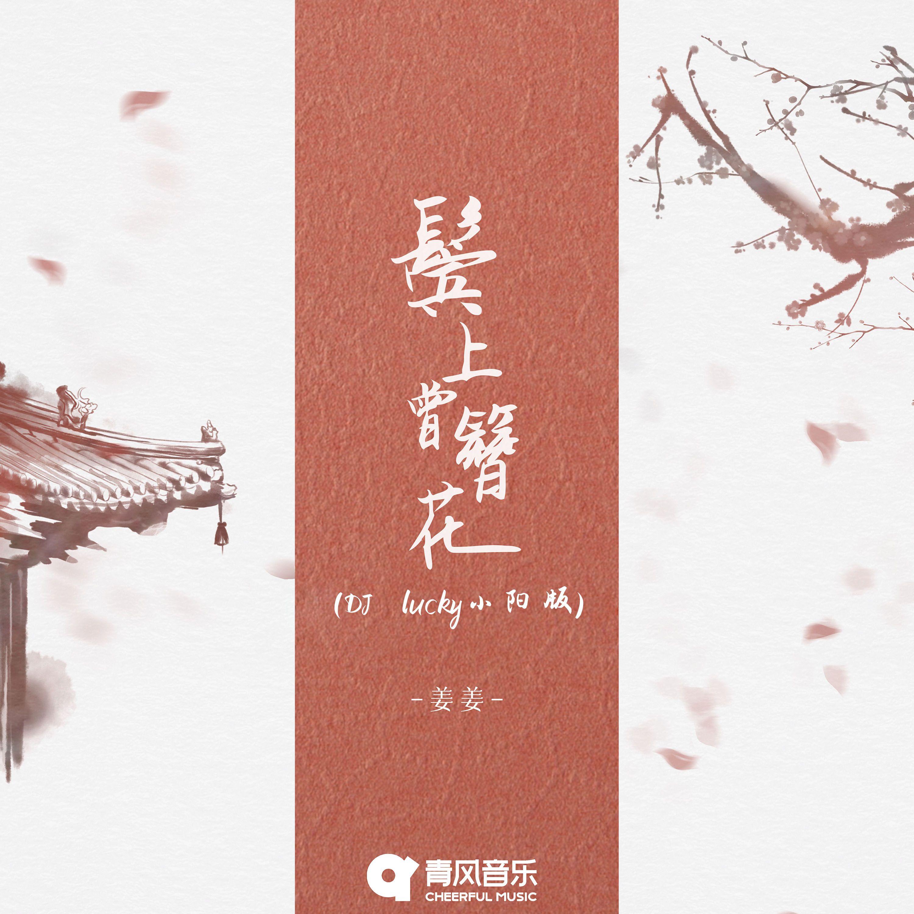 鬓上曾簪花（DJ lucky小阳版）
