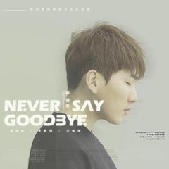 Never Say Goodbye (伴奏)