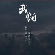 我怕【贾正同人曲】