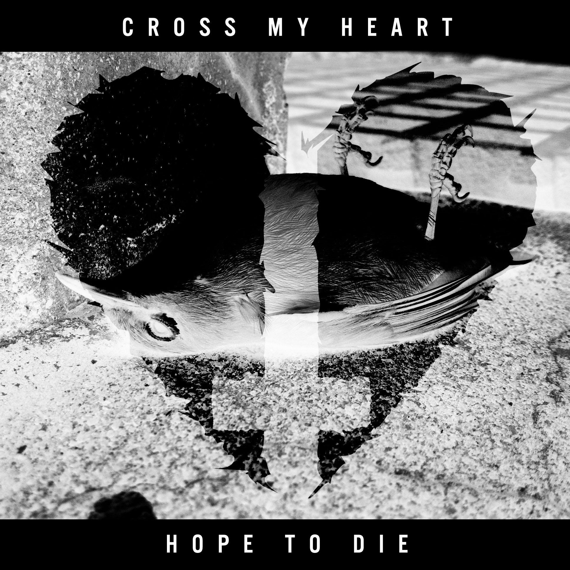 Cross My Heart Hope To Die