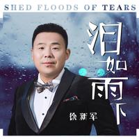 徐新军 - 泪如雨下(原版立体声伴奏)