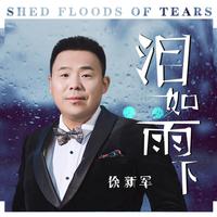 泪如雨下（伴奏）