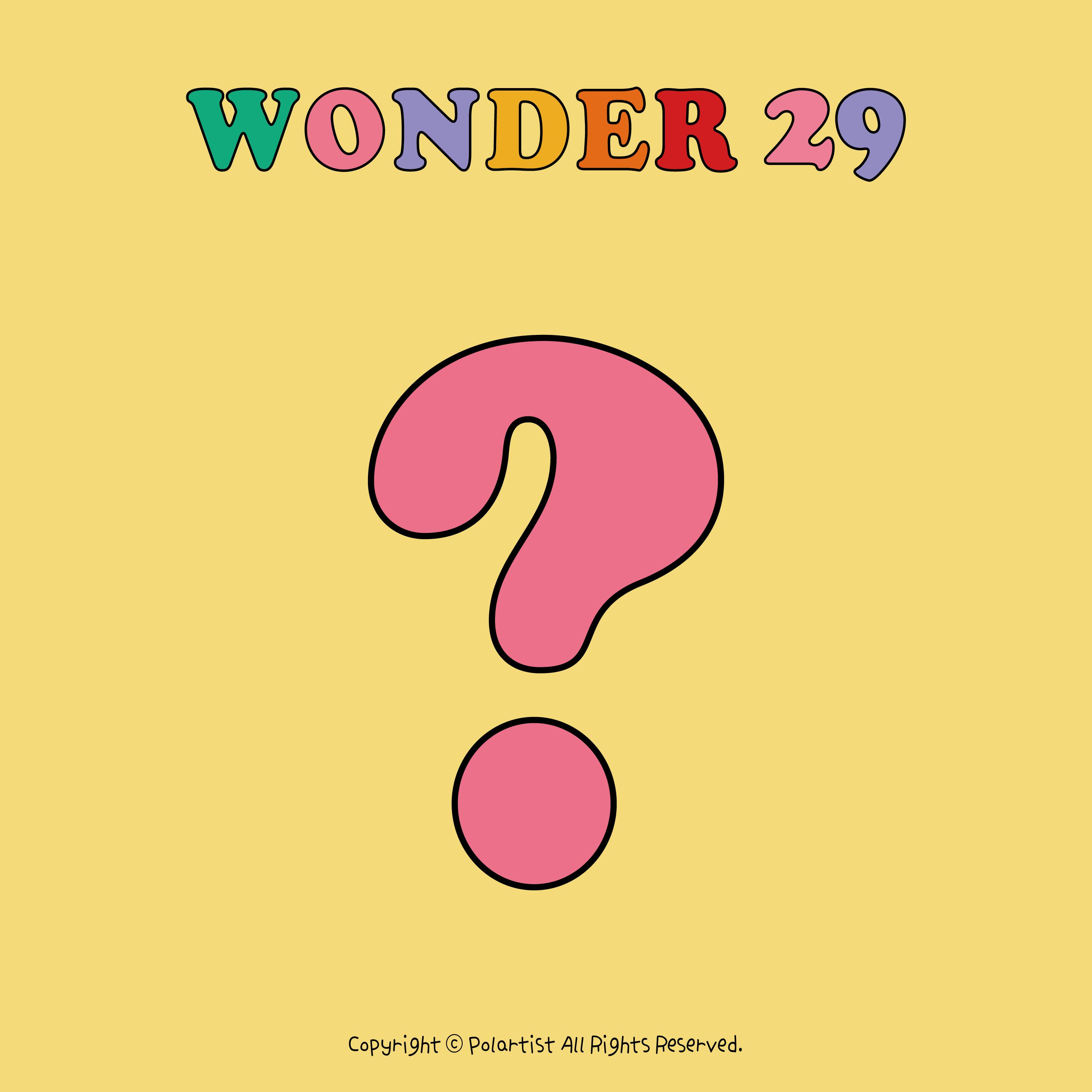 Wonder29