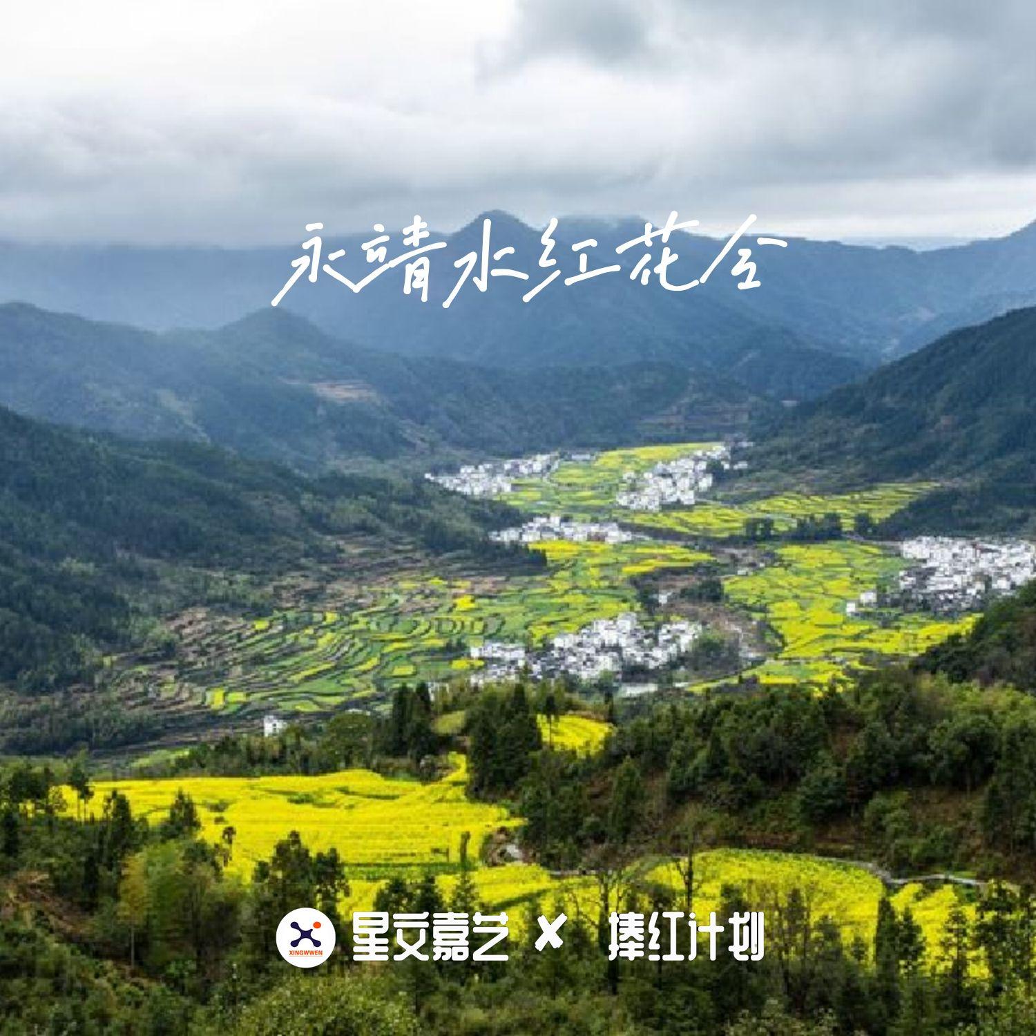 永靖水红花令