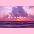 Are you wake up（被你唤醒）